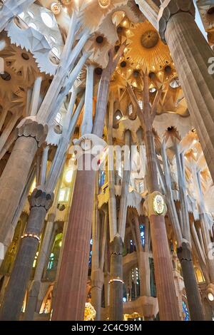 Détail du toit de la cathédrale de la Sagrada Familia et du saut à la vaix à Barcelone, par Antoni Gaudi, représentant les forêts Banque D'Images