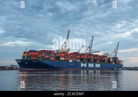 Southampton, Hampshire, Royaume-Uni. 26 juin 2020. Le plus grand navire à visiter les quais de Southampton arrive à DP World Southampton, dans les premières heures de ce matin. Le navire à conteneurs HMM Oslo est l'un des plus grands navires au monde. Le navire est plus long que le Shard à Londres est grand, mesurant 399.9 mètres de long. Le navire massif mesure 61.5 mètres de large et peut contenir 23,820 unités de conteneur de 20 pieds. Le navire partira du port le samedi 27 juin, transportant des exportations britanniques à son retour en Corée du Sud, via la France, l'Allemagne, les pays-Bas et Singapour. Crédit Stuar Banque D'Images