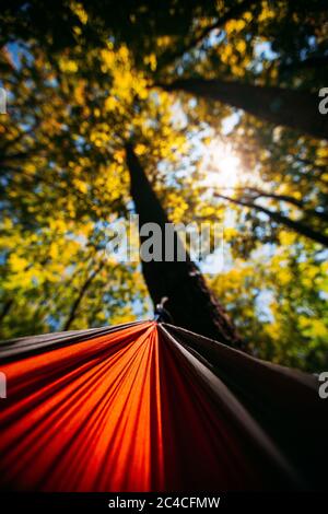 Balancement dans un hamac d'Orange en regardant le soleil se hiner à travers les arbres sur une plage en été Banque D'Images