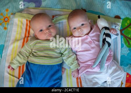 Nouveau-né garçon et fille jumeaux sur leur dos sur une sélection de tapis. La fillette jumelle est en câlin un ours en peluche. Photo de Sam Mellish Banque D'Images