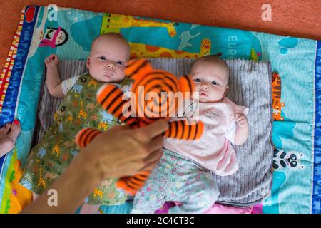 Nouveau-né garçon et fille jumeaux se posant sur leur dos sur des tapis colorés avec une main de femme tenant un ours en peluche tigre. Photo de Sam Mellish Banque D'Images