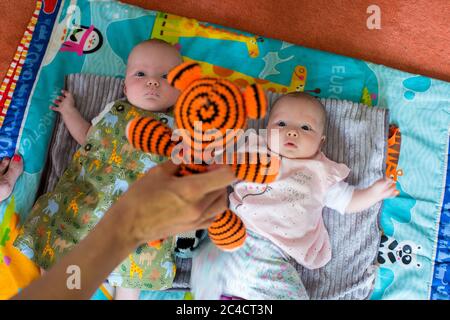 Nouveau-né garçon et fille jumeaux se posant sur leur dos sur des tapis colorés avec une main de femme tenant un ours en peluche tigre. Photo de Sam Mellish Banque D'Images