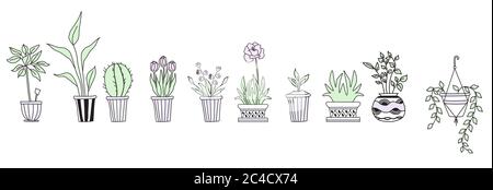 Ensemble de jolies plantes d'intérieur en pots, dessin à la main. Ensemble botanique - beaucoup de pots de fleurs - cactus, tulipes, fleurs, pousses. Vecteur ligne Illustration de Vecteur