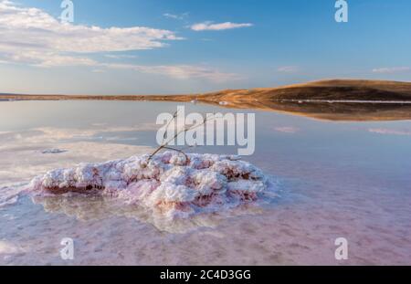 Saumure et sel d'un lac rose Koyash coloré par des microalgues Dunaliella salina, célèbre pour ses propriétés antioxydantes, enrichissant l'eau par le bêta-carotène Banque D'Images