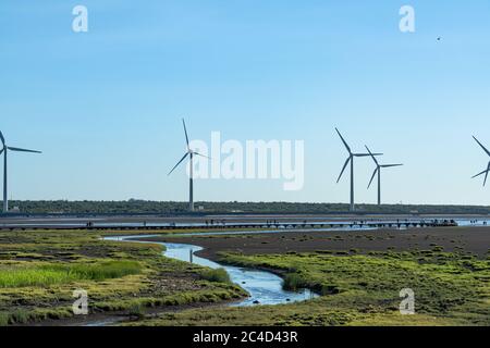 Sentier touristique de Gaomei Wetlands, un lieu touristique populaire dans le quartier de Qingshui. Taichung, Taïwan Banque D'Images