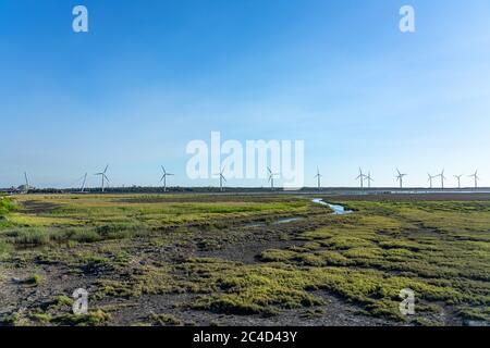 Sentier touristique de Gaomei Wetlands, un lieu touristique populaire dans le quartier de Qingshui. Taichung, Taïwan Banque D'Images