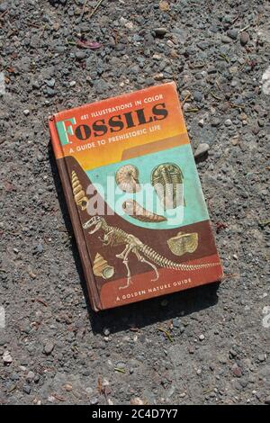 MIDDLETOWN, NY, ÉTATS-UNIS - 20 mai 2020: Middletown, NY / États-Unis - 05/20/2020: Livre d'époque: Fossiles UN guide de la vie préhistorique, UN Gu nature d'or Banque D'Images