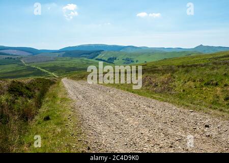 Vue de Penchrise en direction de Greatmoor, Cauldcleuch Head et Skelfhill Pen un groupe de collines dans les Uplands du Sud, la région des frontières écossaises. Banque D'Images