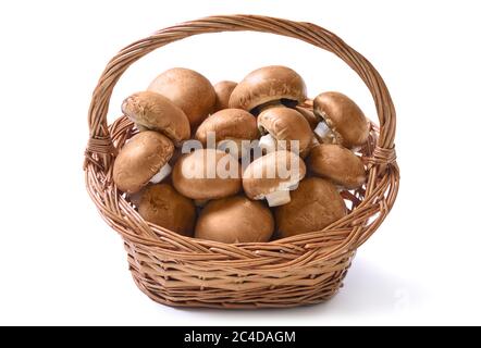 Panier rempli de champignons frais crus prêts à être préparés pour un repas délicieux et sain, isolé en studio sur blanc Banque D'Images