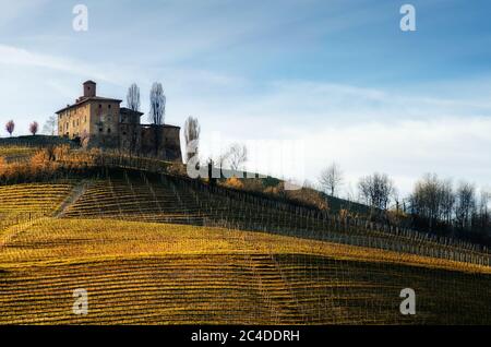 Castello della Volta, château médiéval dans les vignobles des Langhe, près de Barolo (Piémont, Italie) Banque D'Images