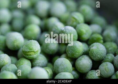 De haut en bas, petit foyer de petits pois fraîchement cueillis du jardin ayant été congelés une fois cueillis. Vu retiré d'un congélateur, prêt à être emballé et vendu. Banque D'Images