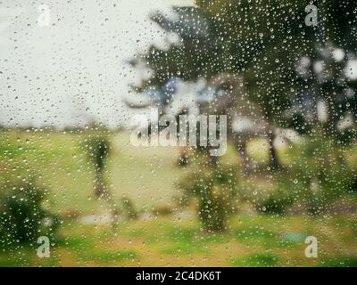 Vue à travers le verre humide sur une pelouse verte et des arbres Banque D'Images