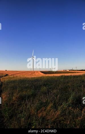 Çanakkale, Turquie - 23 juin 2009 : éoliennes sur la zone de plantation de blé Banque D'Images