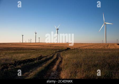 Çanakkale, Turquie - 23 juin 2009 : éoliennes sur la zone de plantation de blé Banque D'Images