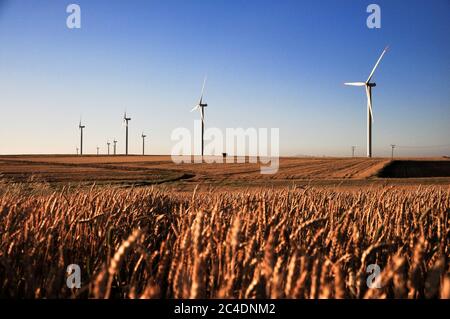 Çanakkale, Turquie - 23 juin 2009 : éoliennes sur la zone de plantation de blé Banque D'Images