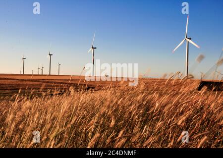 Çanakkale, Turquie - 23 juin 2009 : éoliennes sur la zone de plantation de blé Banque D'Images