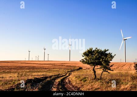 Çanakkale, Turquie - 23 juin 2009 : éoliennes sur la zone de plantation de blé Banque D'Images