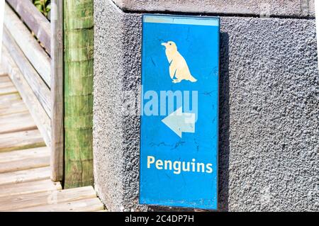 Panneau indiquant la colonie de pingouins à Boulders Beach Banque D'Images