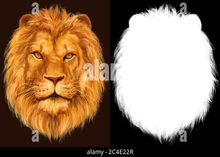 Tête de lion, peinture numérique dessinée à la main avec masque de canal alpha isolé Banque D'Images
