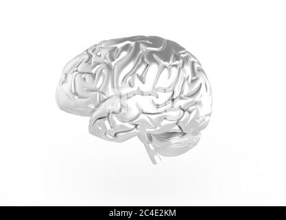 Rendu 3D du cerveau en couleur argent Banque D'Images