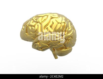 Rendu 3D du cerveau en couleur or Banque D'Images