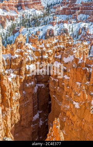 Faites du lookin dans les formations rocheuses enneigées de Bryce Canyon Banque D'Images