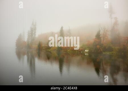 Photo pittoresque de l'automne du lac Strbske Pleso avec des arbres colorés et réflexion sur l'eau dans les montagnes de High Tatra, Slovaquie Banque D'Images