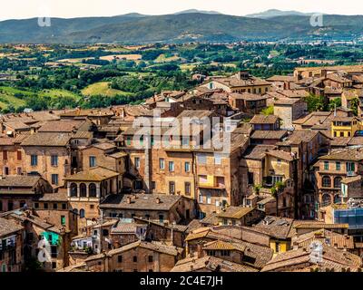 Vue aérienne des toits de Sienne en terre cuite avec les collines de Toscane au loin. Sienne. Italie. Banque D'Images