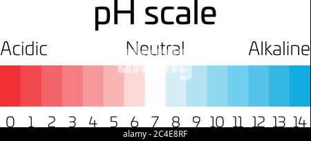 Échelle de pH. Indicateur de la valeur du pH exprimant le taux d'acidité ou de basicité en chimie. Illustration de Vecteur