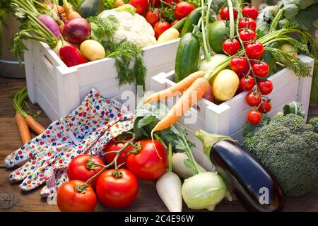 Légumes frais dans les caisses du jardin Banque D'Images