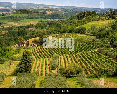 Vue aérienne d'un vignoble à San Gimignano, Toscane, Italie. Banque D'Images