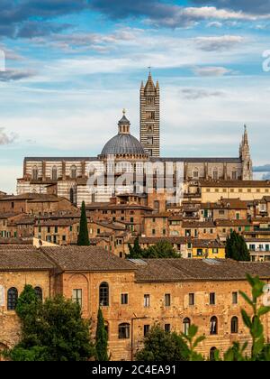 Cathédrale de Sienne. Italie. Banque D'Images