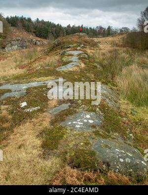 Homme en manteau rouge debout dans le paysage rocheux. Banque D'Images