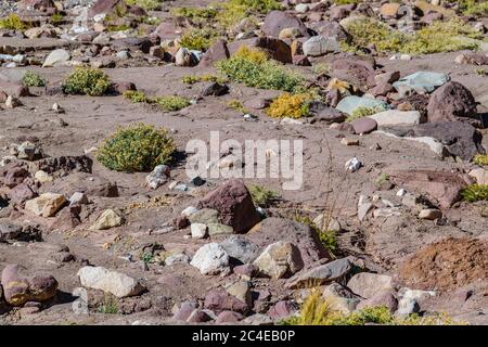 Paysage aride scène rocheuse au parc national d'aconcagua, province de mendoza, argentine Banque D'Images