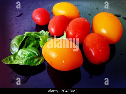 De savoureuses tomates cerises mûres rouges et jaunes et des feuilles de basilic Banque D'Images
