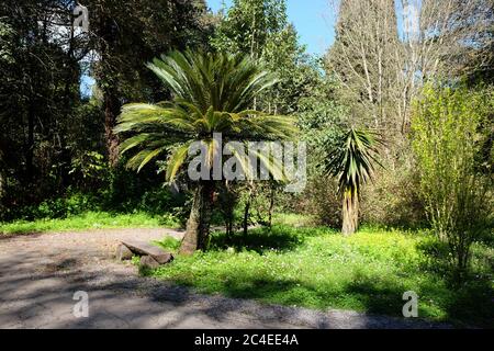 Le parc de mon repos avec ses sentiers et son banc en bois dans la ville de Corfou, en Grèce Banque D'Images