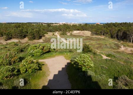 Vue depuis la tour de Den Tilsandede Kirke (église enterrée) sur le Skagen Klitplantage (réserve naturelle), Skagen, Jutland, Danemark, Europe Banque D'Images