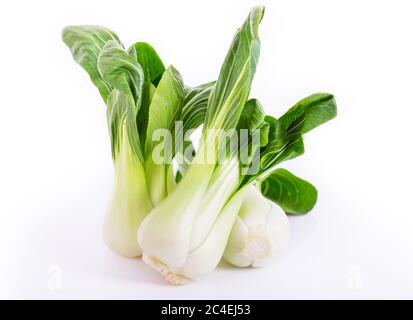 Pak choi isolé sur fond blanc Banque D'Images