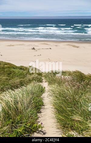 Un sentier bordé d'herbe de marram menant vers une dune de sable jusqu'à une plage Banque D'Images