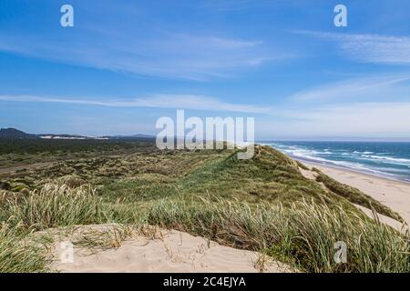 Vue sur les dunes de sable et la plage vers l'océan, sur la côte de l'Oregon Banque D'Images