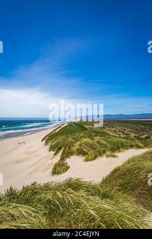 Dunes de sable sur la côte de l'Oregon, le jour d'été ensoleillé Banque D'Images