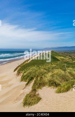 Vue sur les dunes de sable et la plage vers l'océan, sur la côte de l'Oregon Banque D'Images