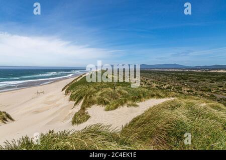 Vue sur les dunes de sable et la plage vers l'océan, sur la côte de l'Oregon Banque D'Images