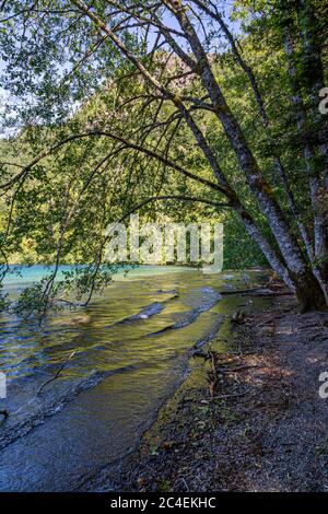 Sur les rives du lac Crescent dans le parc national olympique, Washington Banque D'Images