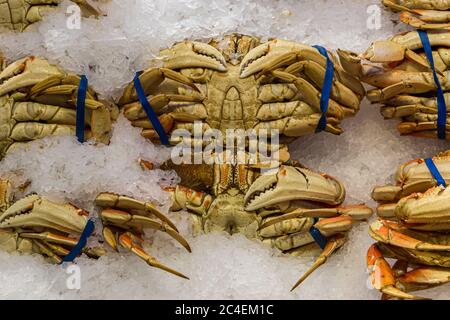 Une vue en grand angle des crabes à vendre sur un marché Banque D'Images