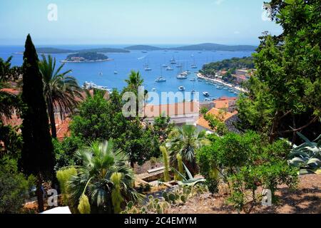 Port de la ville de Hvar vue depuis le parc botanique sur le chemin des frondes espagnoles avec des cactus et des agaves en premier plan Banque D'Images