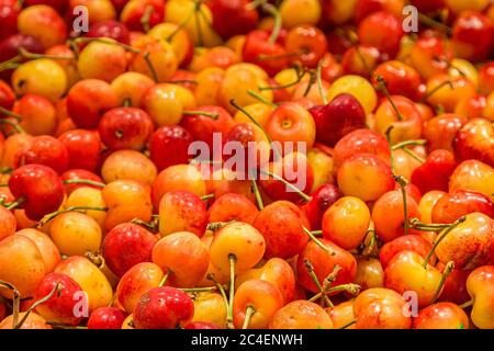Une photo plein cadre de cerises juteuses à vendre sur un marché Banque D'Images