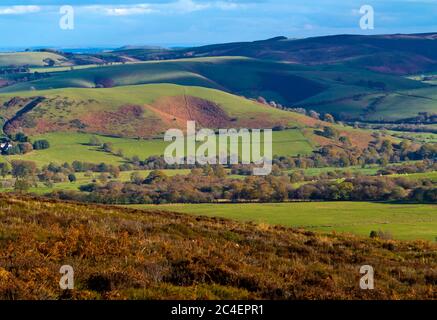 Vue vers l'ouest depuis les Stiperstones vers le long Mynd dans le Shropshire Hills Angleterre Royaume-Uni Banque D'Images