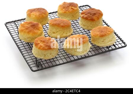 biscuits au babeurre fraîchement cuits sur un support en fil de cuisson isolé sur fond blanc Banque D'Images