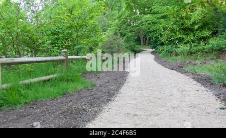 Chemin de meandering menant dans les bois avec de l'espace pour la copie Banque D'Images